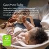 imageUPPAbaby Mira Bouncer Bundle includes Mira 2in1 Bouncer and Wonder Wheel Toy Bar Seat Grows with Your Baby Folds Flat Sensory Entertainment  Charlie Sand Mlange