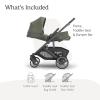 imageUPPAbaby Cruz V3 Stroller  from Birth  Car Seat Compatible  FullSize Reversible Seat  Infant Insert Bug and Rain Shields Included  Julian Dusty Blue MlangeCarbon FrameChestnut LeatherEvelyn Meadow Green